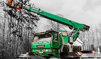 ALBACH Felling crane